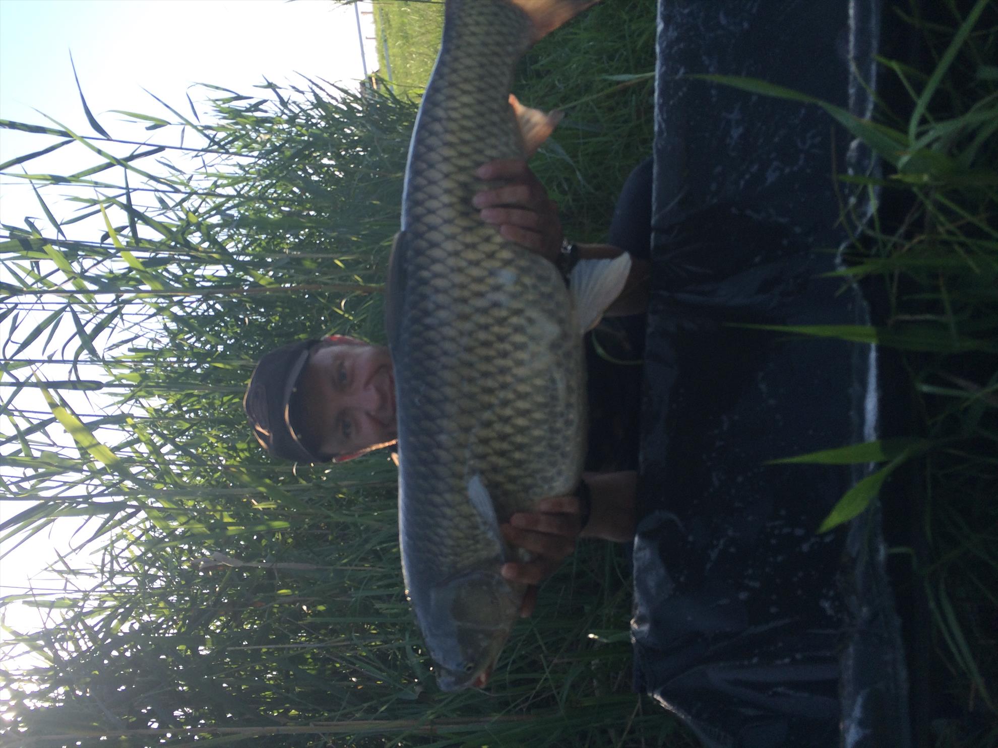 Pescuit Balta Lazar 6-8 iunie 2014 - img0655.JPG